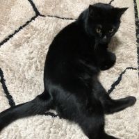 たかはるくん 会員画像