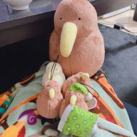 むみっ 会員画像