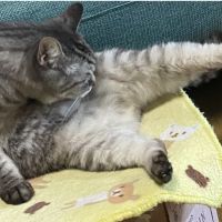 はるやまだ 会員画像