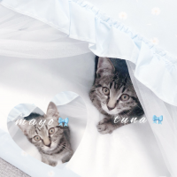 さき。! 会員画像