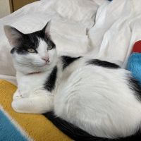 あままます 会員画像