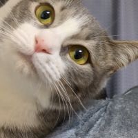 makiko99 会員画像