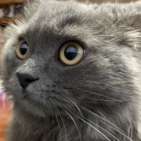 おもちもちまる 会員画像