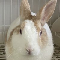 むにう 会員画像