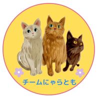 チームにゃらともさん