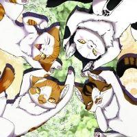 とんぼ@白サバ 会員画像