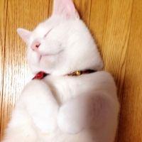 たもやん 会員画像