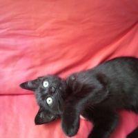 ぜろ。 会員画像