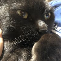 アンジー41 会員画像