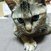 会員画像