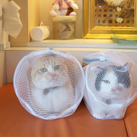 ねこやき 会員画像