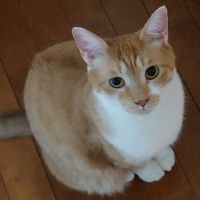 みかどん 会員画像