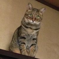 おばちゃま 会員画像