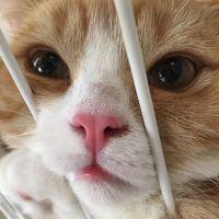 会員画像
