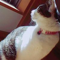 会員画像