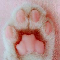 ゆいまこ 会員画像