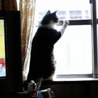 ぼくべっく 会員画像