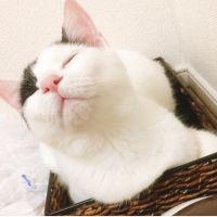 会員画像