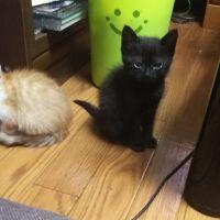 会員画像