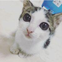 ともも45 会員画像