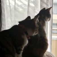 会員画像