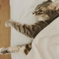 ＊モコ＊さん