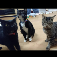 xxゆんxx 会員画像