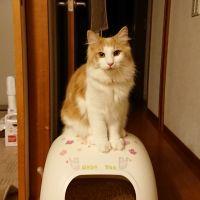 峻千さん