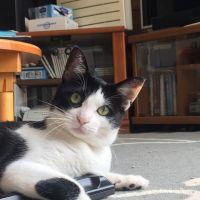 くろまめもも 会員画像