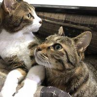 mtmt813 会員画像