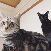 そらちゃんままさん