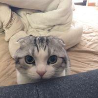 会員画像