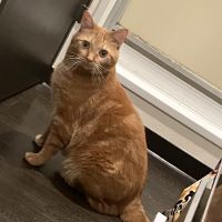 あーちゃんaaxxさん