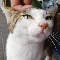 大垣花水木 会員画像