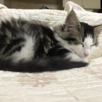 danyさん