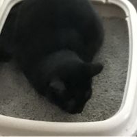 会員画像
