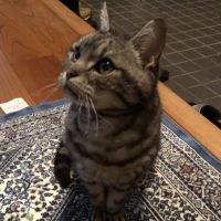 はしまり 会員画像