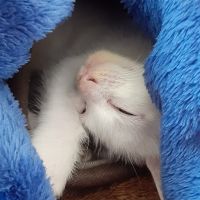 ミキマース 会員画像