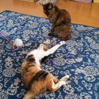 ポワール 会員画像