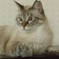 加太の釣り師さん