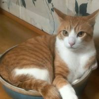 会員画像