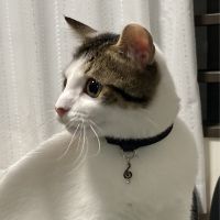 会員画像