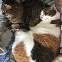 ミーリン39 会員画像