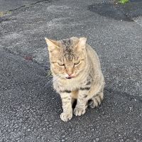 こっちゃんまる 会員画像