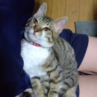 乱数ちゃんさん