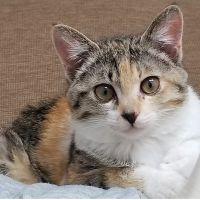 ルナ927 会員画像