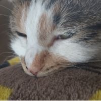 お峯さん