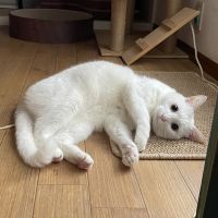 umi_海 会員画像