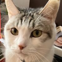 エルくんママさん