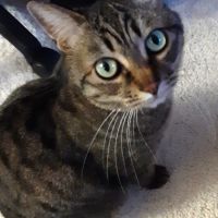 maomao12さん